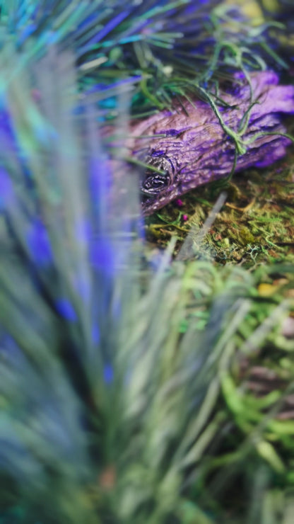 Missed you, Bells.